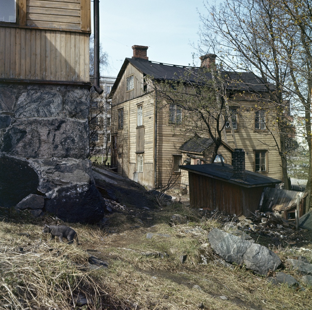 Pihakuva Oihonnankadulta
