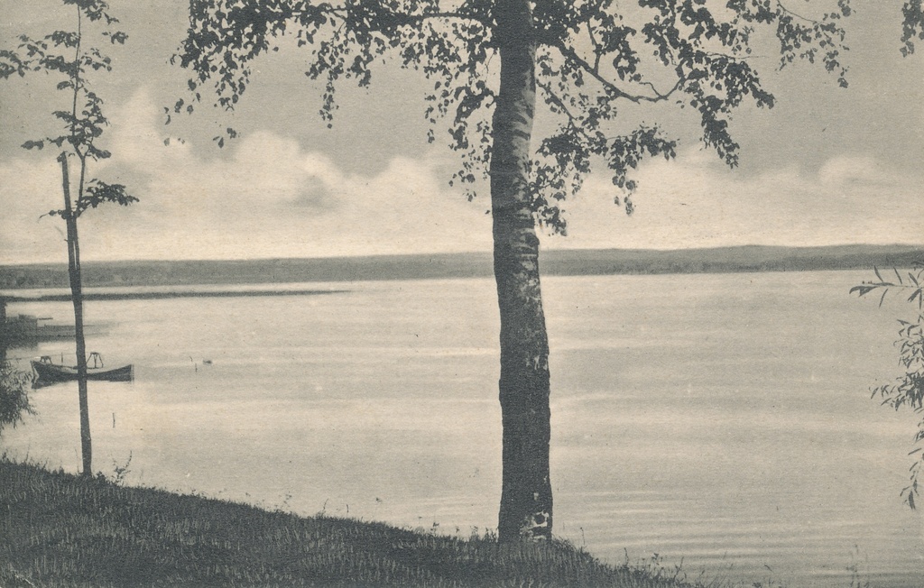 Foto. Vaade Tamula  järvele.