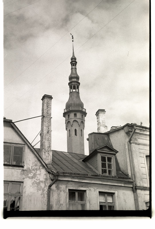 Raekoja torn