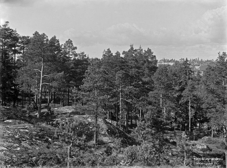 Näköala Pasilan huvila-alueelle