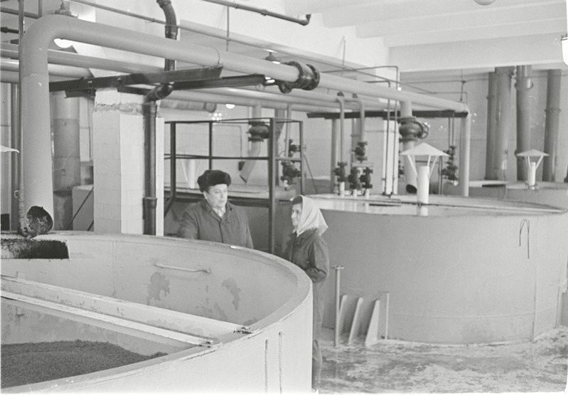 Rakvere Linnasetehas