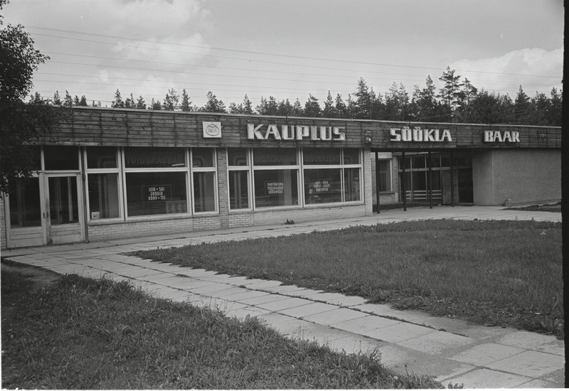 Viitna