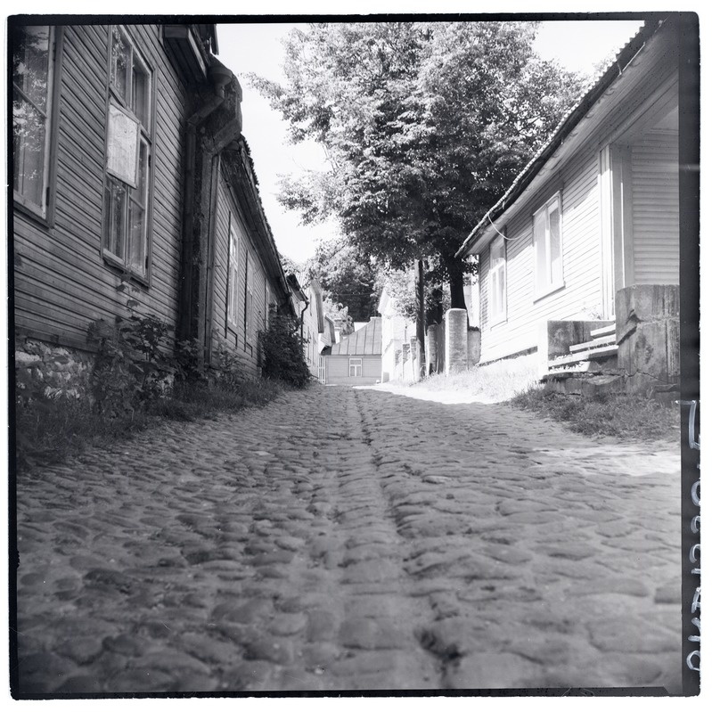 Rakvere, Kooli tänav