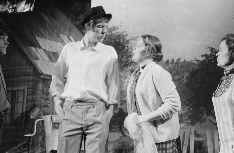 Rakvere Teatri lavastus "Sikud ja lambad"