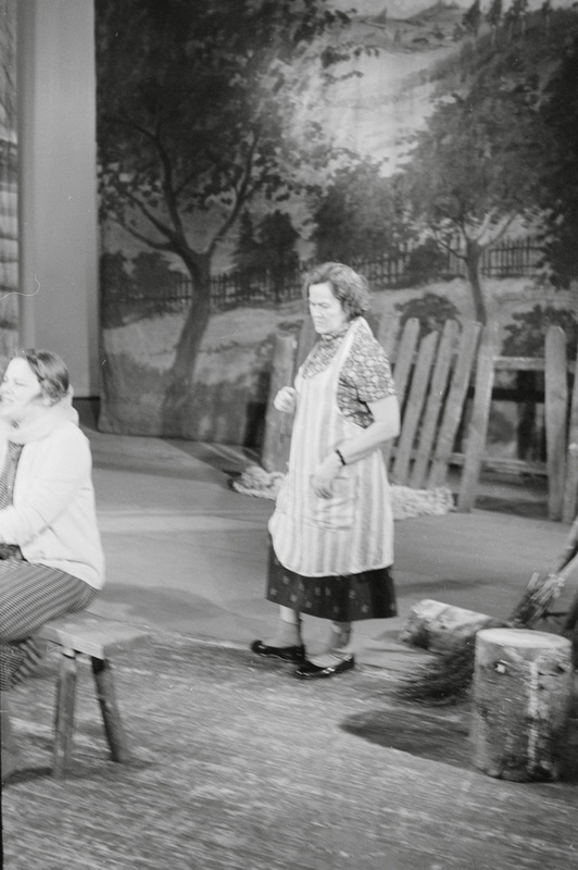 Rakvere Teatri lavastus "Sikud ja lambad"