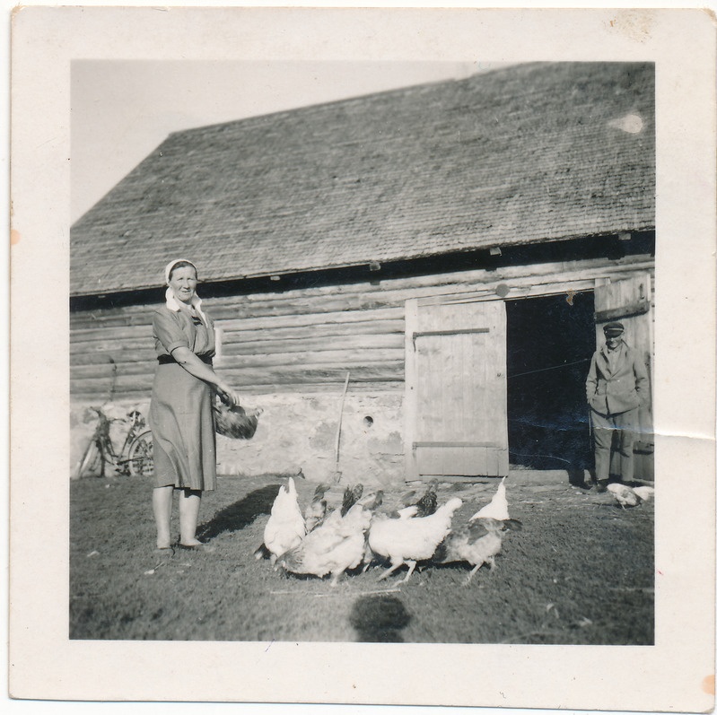 Lepna külas Tiivase talu õuel