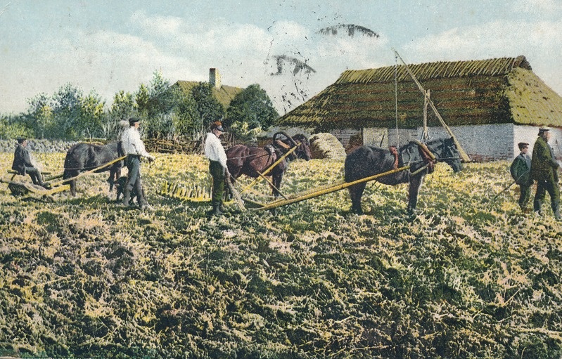 Mehed hobustega põllul