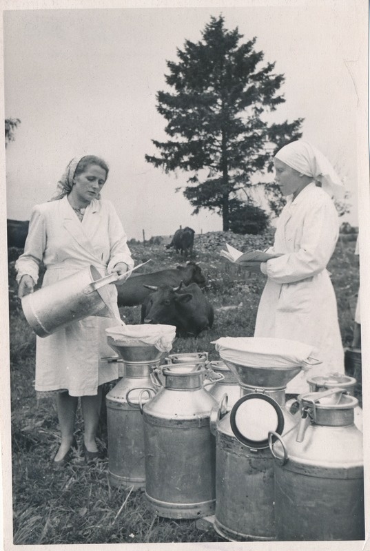 Vao sohoosi lüpsjad