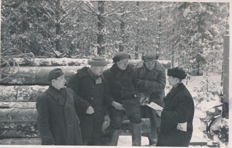 Triigi sovhoosi raielangil