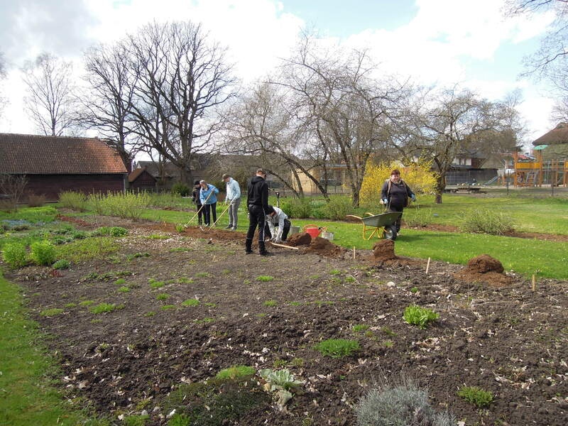 Foto. Õpilased Kreutzwaldi muuseumi aias põõsaid istutamas. Võru, 29.04.2021.