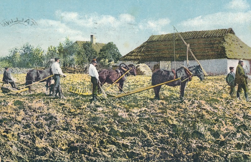 Motiiv Eesti talust