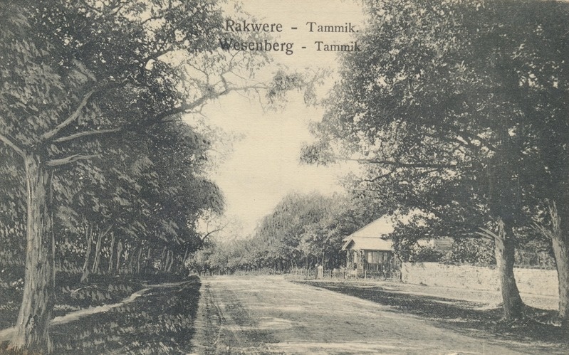 Rakvere Tammik