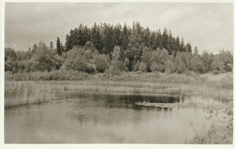 Punamäe linnamägi