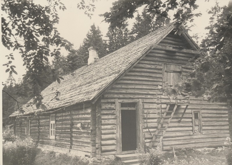 Naraka metsavahimaja