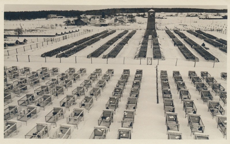 Vaade Eduard Vilde nim. kolhoosi karusloomafarmile