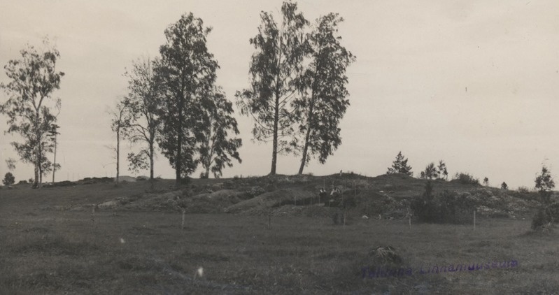Kiviaja asulapaik Lammasmäel