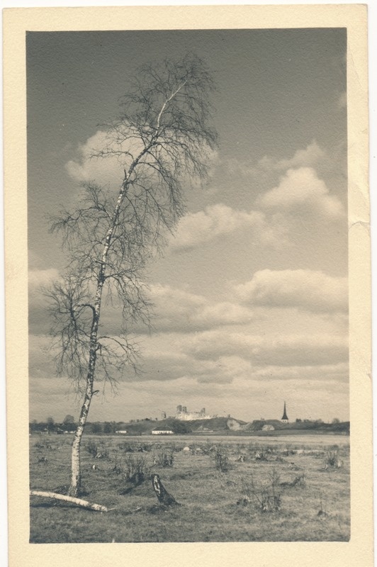 Rakvere, vaade Vallimäele