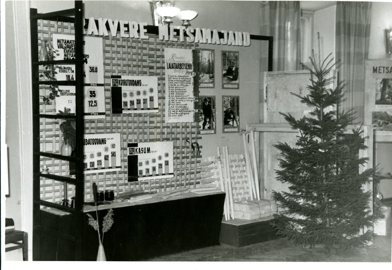 Rakvere Metsamajandi väljapanekud