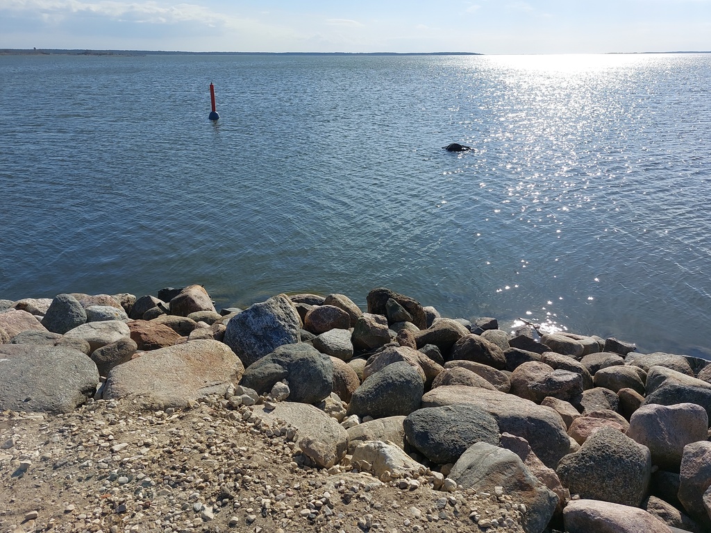 Österby sadama ujumiskoht rephoto