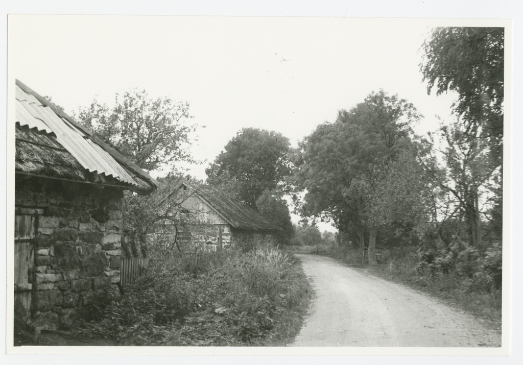 Küla Vormsi saarel