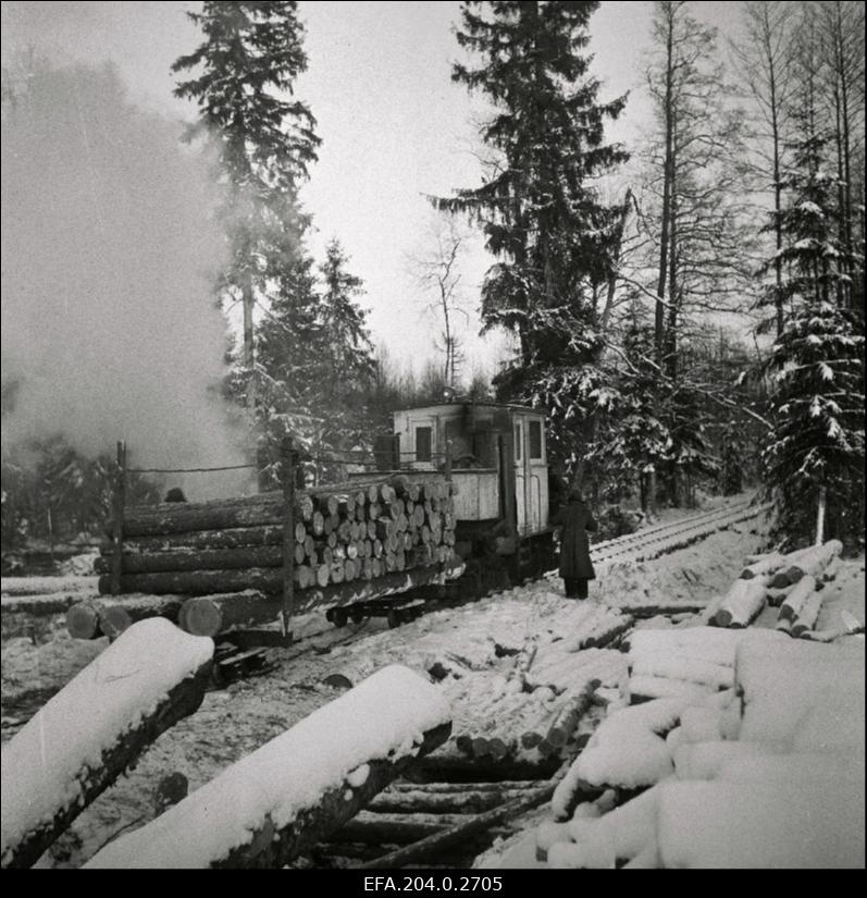 Motoriseeritud metsavedu Laiksaare metsapunktis.