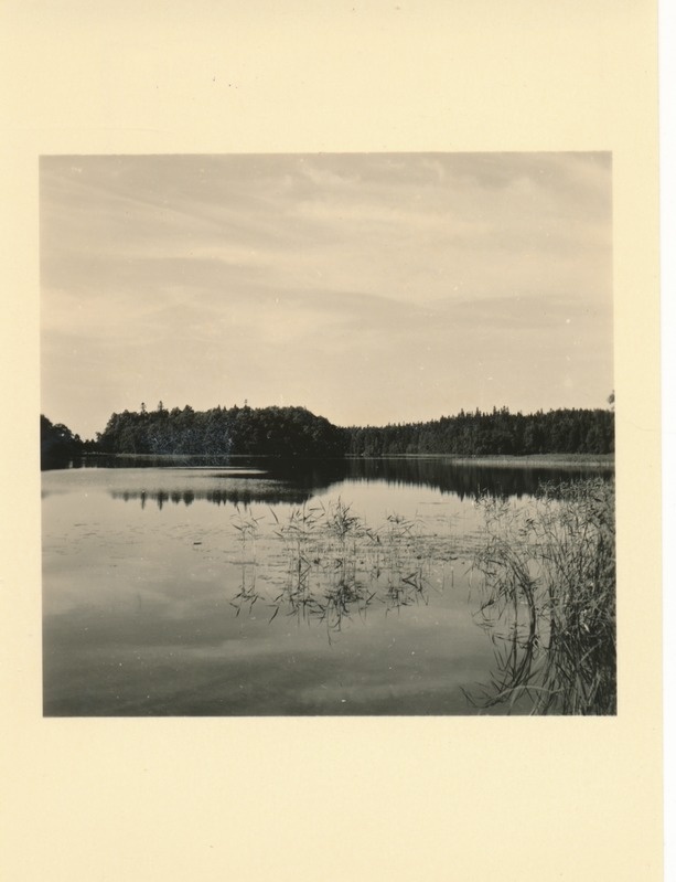 Otepää maastik