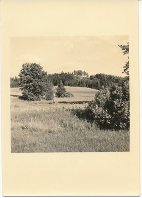 Pühajärv  similar photo