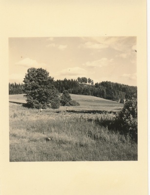 Pühajärv  similar photo