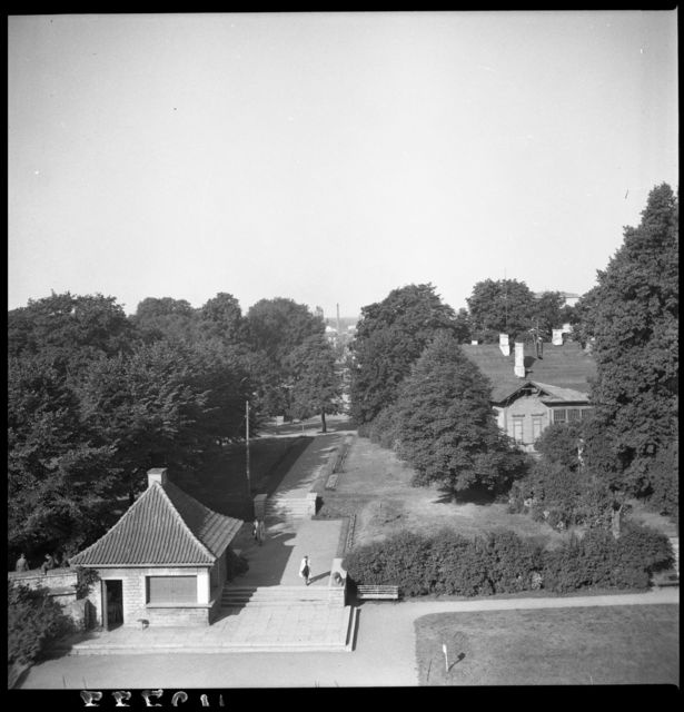 Hirvepark - paviljon ja trepid