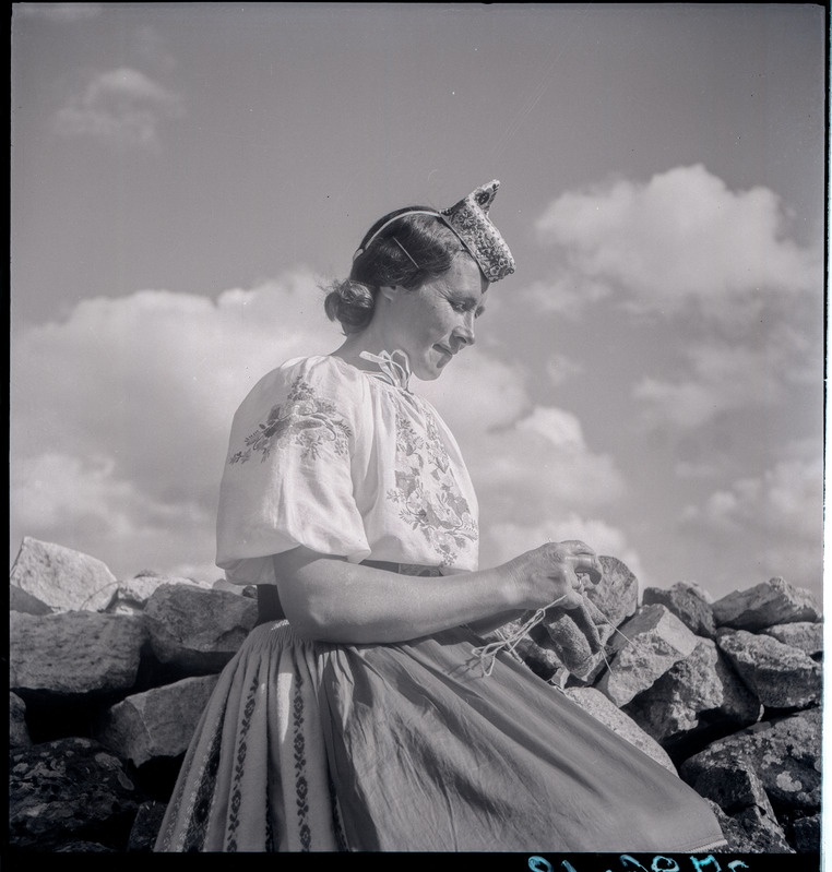 Muhu naine kiviaial varrastega kudumas