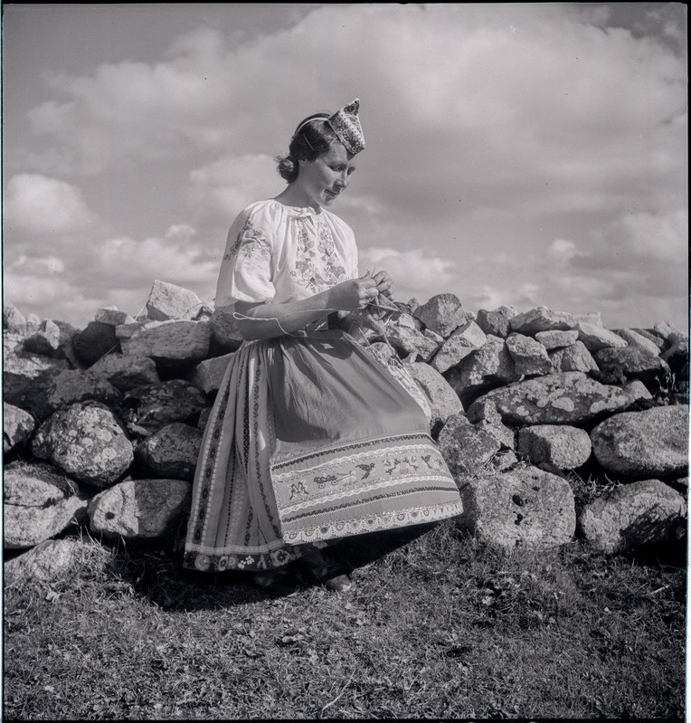 Muhu naine kiviaial varrastega kudumas