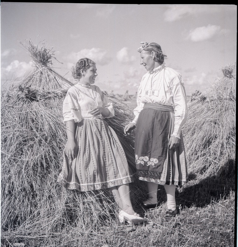 Kaks rahvariides Muhu naist rukkihakkide juures