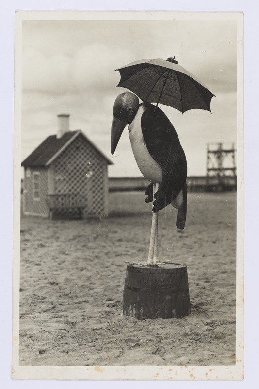 Toonekure kuju Haapsalu rannas