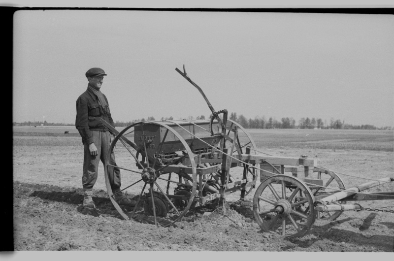 Vilja külvamine hobukülvikuga