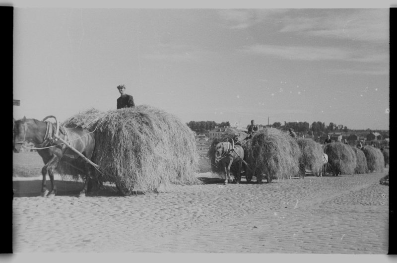 Heina vedamine hobustega maalt linna