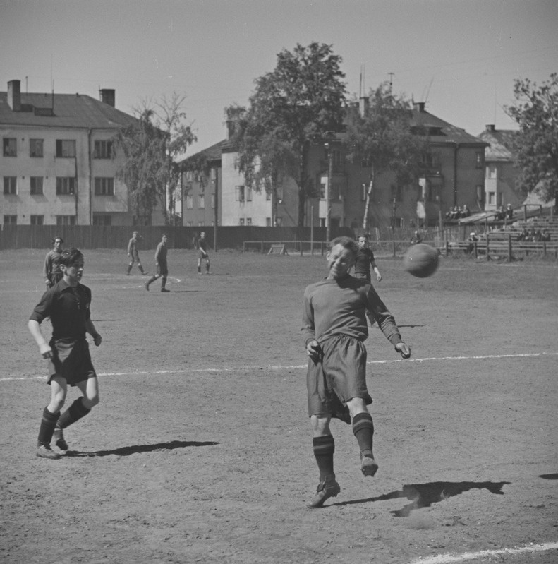Korvpall
