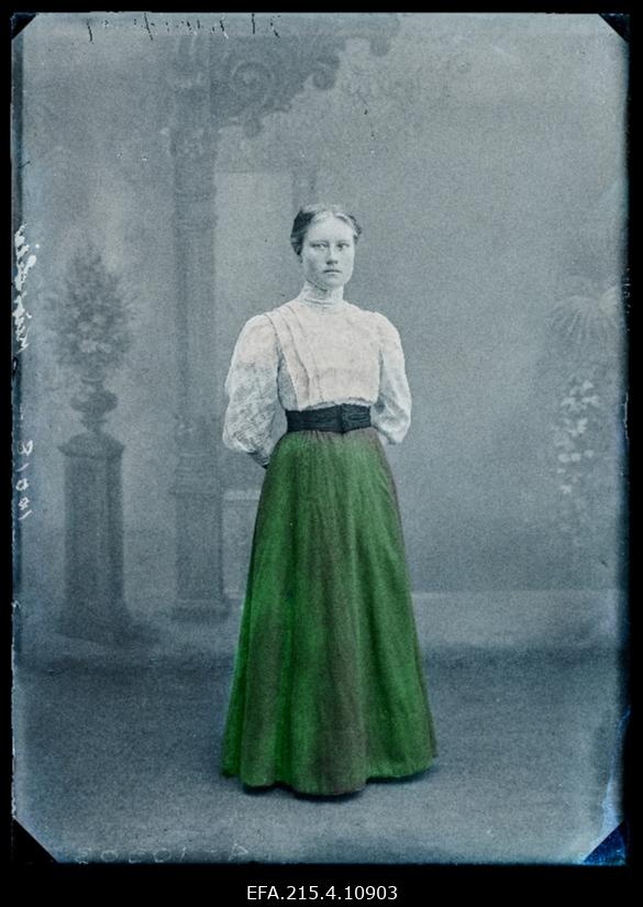 Kiwisild (Kivisild).