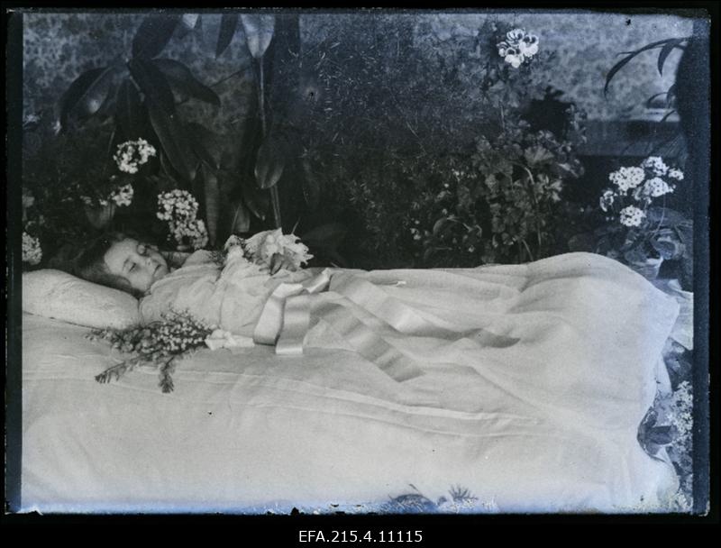 Lapse põrm voodis, (foto tellija Priimann [Primann]).