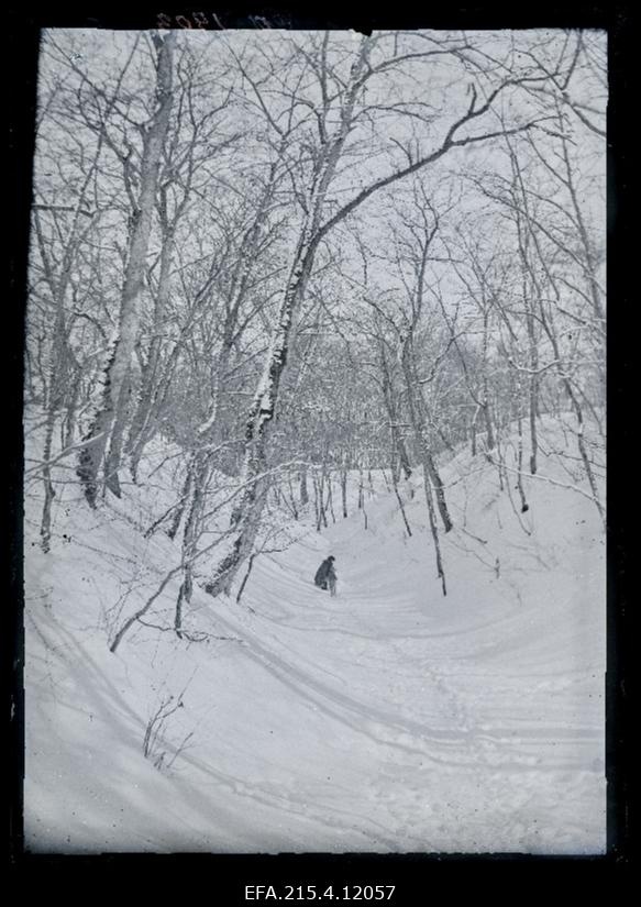 Ema lapsega Viljandi lossimägedes.