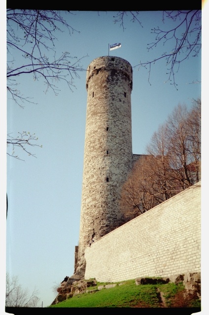 Pikk Hermann Tallinnas