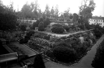Dr Bernakoffi kiviktaimla Tartus Lille tänaval  similar photo