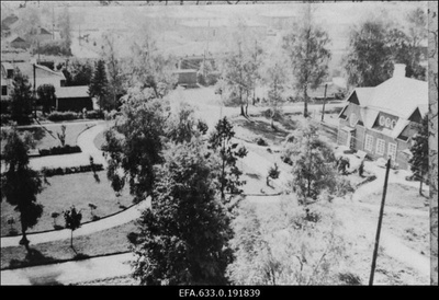Turba asula.  similar photo