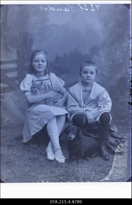 Sanderi lapsed koera ja kassiga.