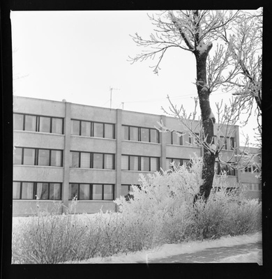 Negatiiv. Sanatoorium "Laine" polikliinik Haapsalus Sadama tänaval (valmis 1972).  November 1973.a.
Foto: T.Kohv.  duplicate photo