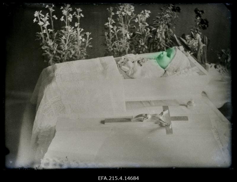 Lapse põrm kirstus, (foto tellija Wichwelin [Vihvelin]).