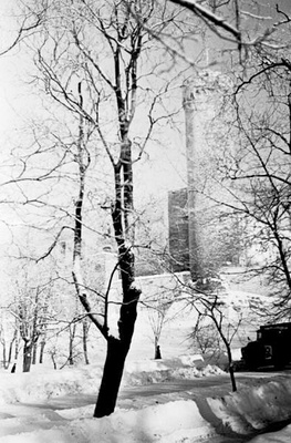 Talvine Tallinn. Pikk Hermann.  similar photo
