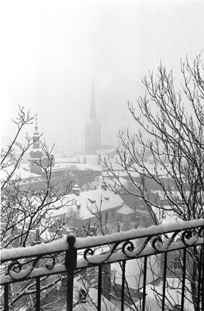 Tallinna vanalinn lumesajus. Vaade Toompealt.