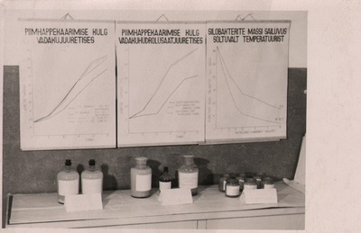 Piimhappekäärimise ja silobakterite massi säilivuse näidised  similar photo