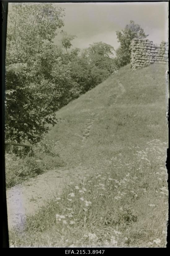 Viljandi lossi varemed.