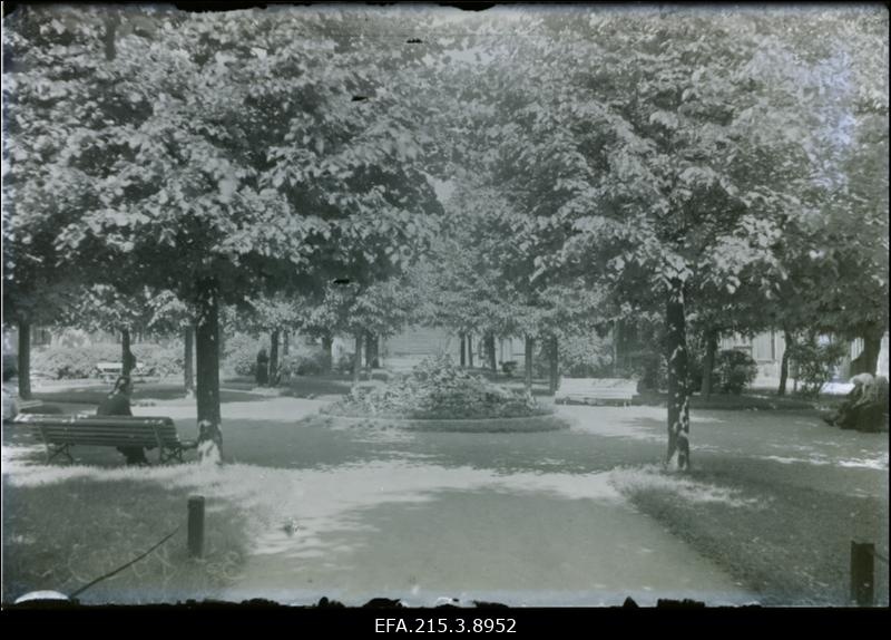 Vaade pargile Viljandis.